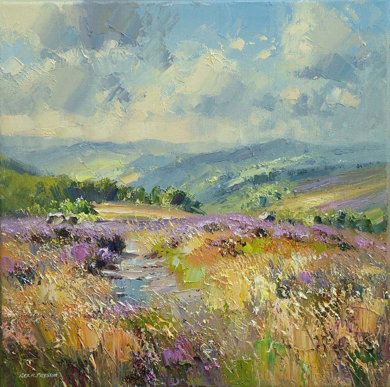 Rex Preston - early august, burbage moor